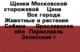 Щенки Московской сторожевой  › Цена ­ 25 000 - Все города Животные и растения » Собаки   . Ярославская обл.,Переславль-Залесский г.